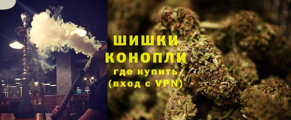 твердый Ростов