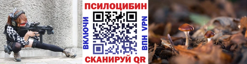 закладка  Тихвин  Псилоцибиновые грибы Psilocybe 