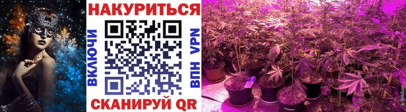 Бошки марихуана сатива Тихвин